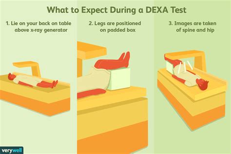 DEXA (DXA) scan: Purpose, procedure, results, and .